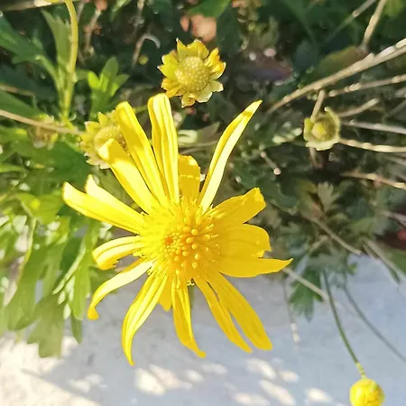 Kucica Bona Сasa de vacaciones *