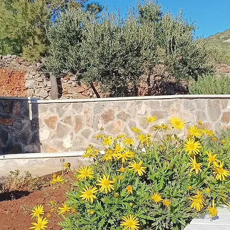 Kucica Bona 펜션 *